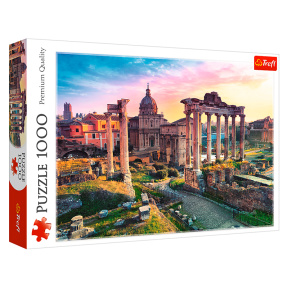 Forumul roman, 1000 elemente