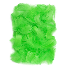 Pene decorative Verde, 5-12cm, 10gr