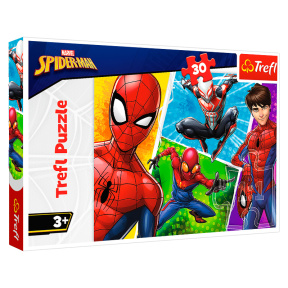 Spider-Man și Miguel, 30 elemente