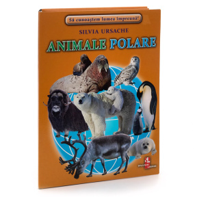 Fișe. Animale polare