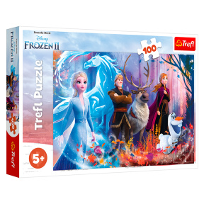 Lumea Magică Frozen, 100 elemente