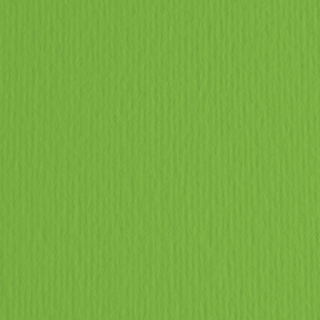 Бумага для пастели Cartacrea A4 Verde, 220гр