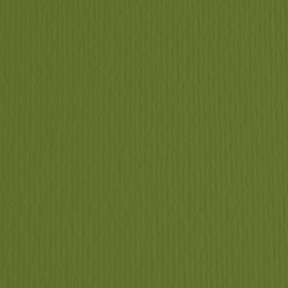 Carton color ER Verdone 70x100cm, 220gr