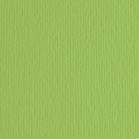 Carton color ER Verde pisello 50x70cm, 220gr