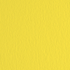 Картон цветной ER Cedro 50x70см, 220гр