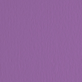 Картон цветной ER Viola 70x100см, 220гр