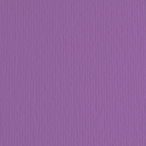 Картон цветной ER Viola 50x70см, 220гр