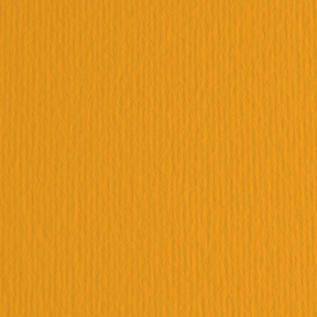 Картон цветной ER Aragosta 70x100см, 220гр