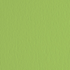 Картон цветной ER Verde pisello 70x100см, 220гр