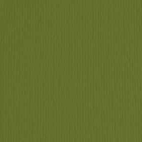 Картон цветной ER Verdone 50x70см, 220гр