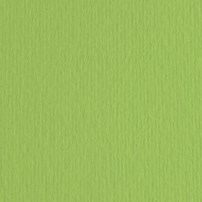 Бумага для пастели Cartacrea A4 Verde pisello, 220гр