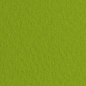 Бумага для пастели Tiziano - A4 Pistacchio, 160гр