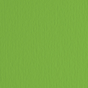 Картон цветной ER Verde 50x70см, 220гр