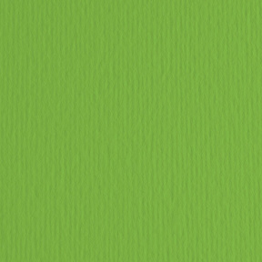 Картон цветной ER Verde 70x100см, 220гр