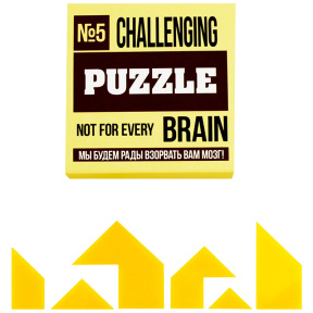 Challenging Puzzle №5, IQ joc