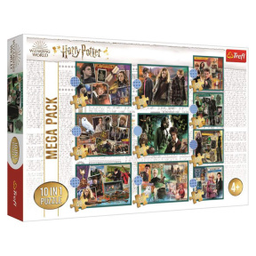 În lumea lui Harry Potter