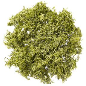 Decor pentru creație mușchi, verde deschis, 30 gr.