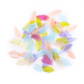 Peniță 6 cm, 5 gr. mix pastelat