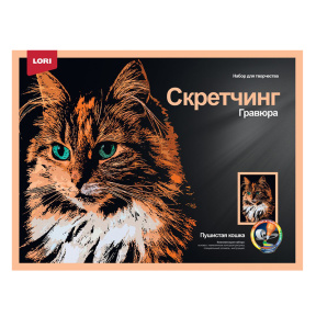 Скретчинг, Животные Пушистая кошка