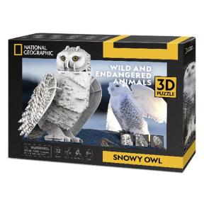 3D puzzle Bufniță arctică