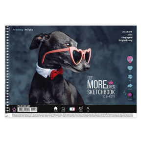 Album pentru desen cu spirală A4 PETS, 20 foi