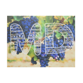 Магнит "MD"