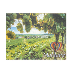 Магнит "Iubesc Moldova"