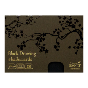Набор карточек HAIKU для карандаша и маркера, в коробке 14,7x10,6см, 24л,  300г, цвет церный