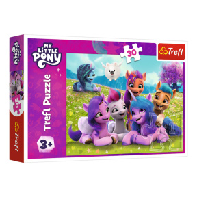Puzzle- "30" - Friendly Ponies