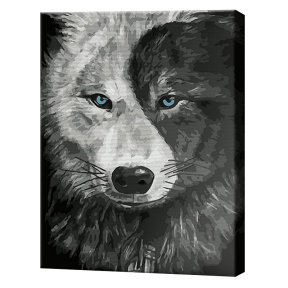 Инь-ян, 40x50 см, картина по номерам