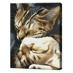 Милые котики, 40x50 см, картина по номерам