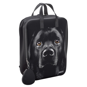 Школьный рюкзак EK StreetLine 16L Black Dog