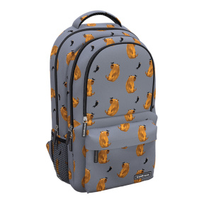 Школьный рюкзак EK с тремя отделениями ActiveLine 22L Capybara