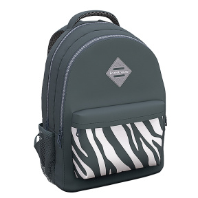 Школьный рюкзак EK с двумя отделениями EasyLine 20L Light Grey Zebra