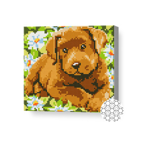 Cățeluș printre romanițe, 20x20 cm, mozaic cu diamante