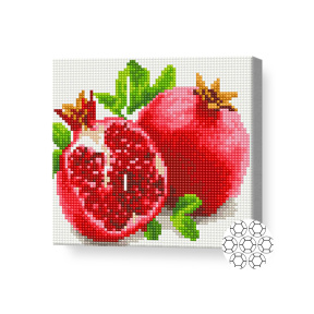 Rodie suculentă, 20x20 cm, mozaic cu diamante