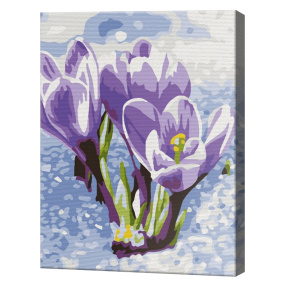 Primele flori 20x30 cm, pictură pe numere