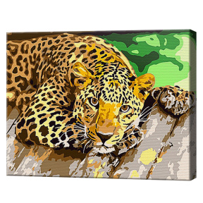 Отдыхающий хищник 20x30 см, картина по номерам