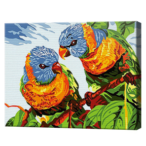 Papagali viu-colorați 20x30 cm, pictură pe numere
