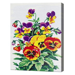 Фиалки 20x30 см, картина по номерам