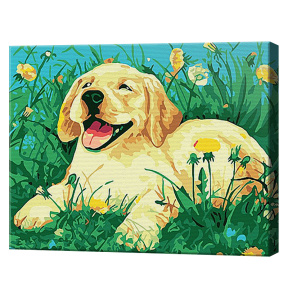 Довольный лабрадор 20x30 см, картина по номерам