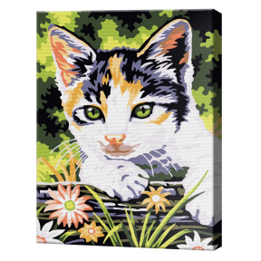 Трехцветный котенок 20x30 см, картина по номерам