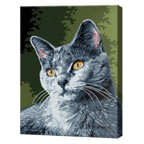 Серая кошка 20x30 см, картина по номерам