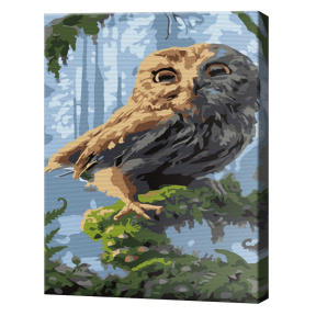 Bufniță drăguță în pădure 20x30 cm, pictură pe numere