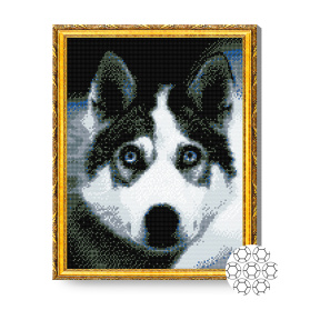 Privirea lui husky, 40x50 cm, mozaic cu diamante