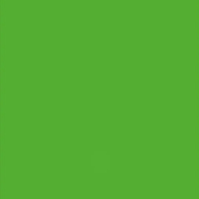 Carton color 300 g/m², DIN A4, verde iarbă