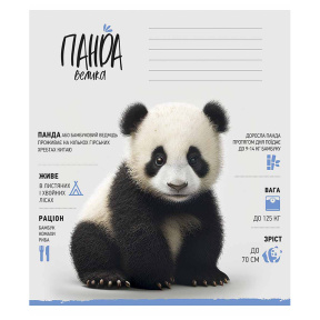 Caiet 12 foi, pătrățele, Shkolyarik Wild world