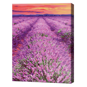 Levănțică la apus, 40x50 cm, pictură pe numere