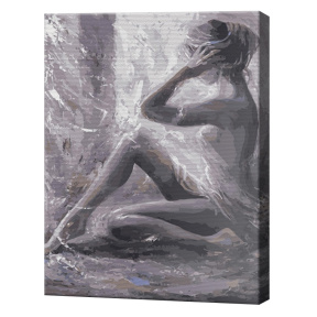 Siluetă în nuanțe gri, 40x50 cm, pictură pe numere