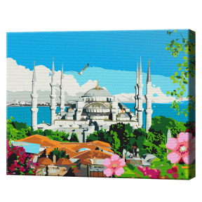 Istanbul de vară, 40x50 cm, pictură pe numere